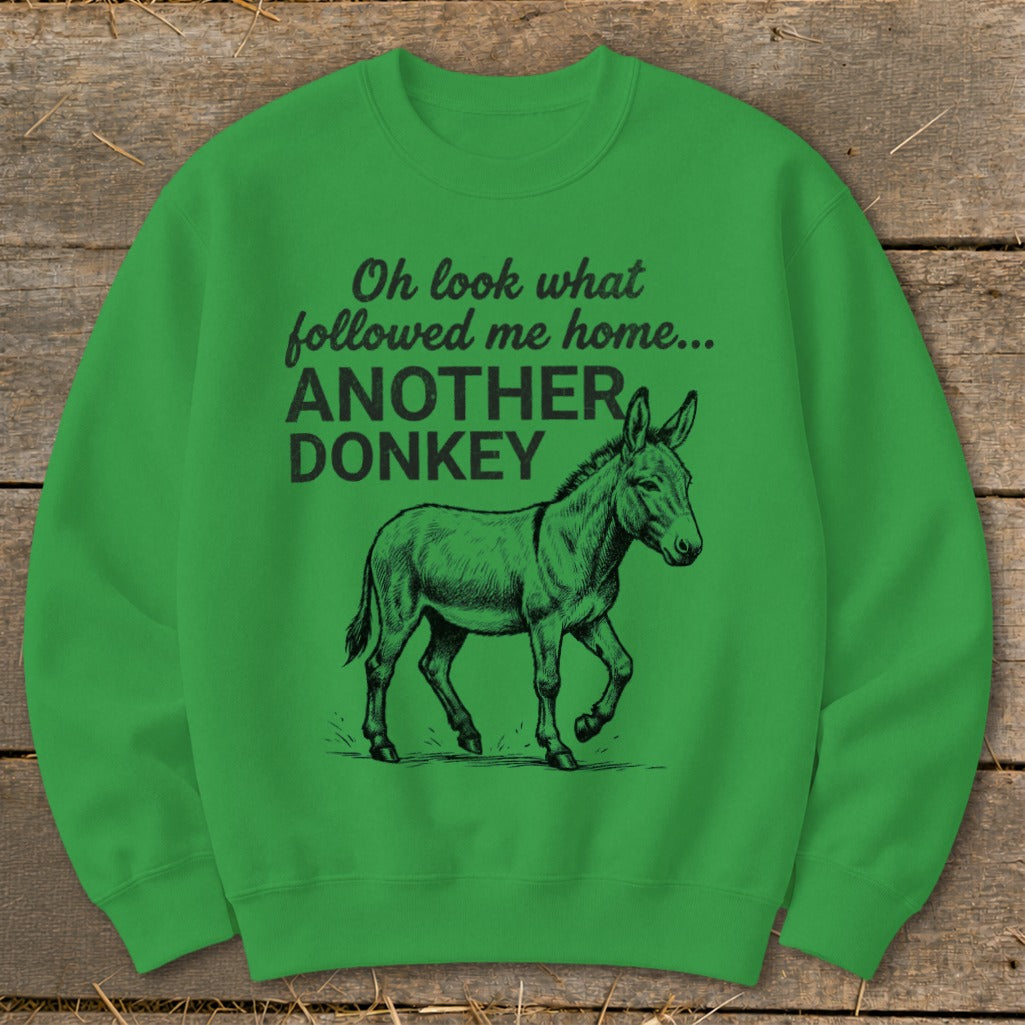 Green sweatshirt with black text reading "Oh look what followed me home... ANOTHER DONKEY" and a donkey illustration.