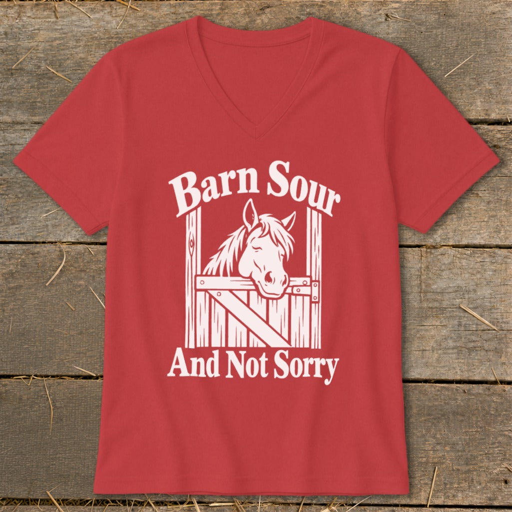 Barn Sour V-neck