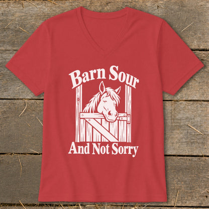 Barn Sour V-neck