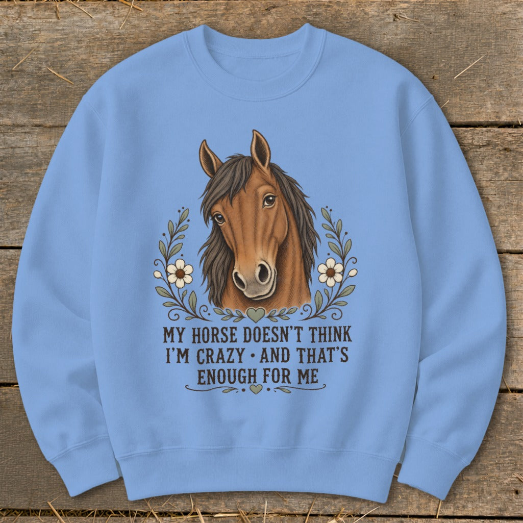 Light blue sweatshirt with a horse illustration and text "MY HORSE DOESN'T THINK I'M CRAZY AND THAT'S ENOUGH FOR ME."