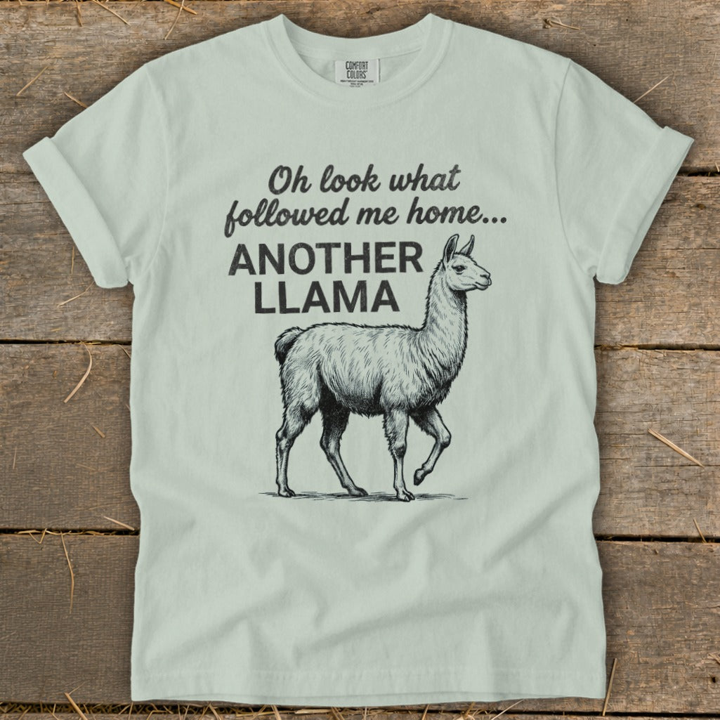 Light green t-shirt with text and sketch of a llama.