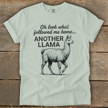 Light green t-shirt with text and sketch of a llama.