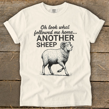 White t-shirt with "Oh look what followed me home... ANOTHER SHEEP" text and a sheep illustration.