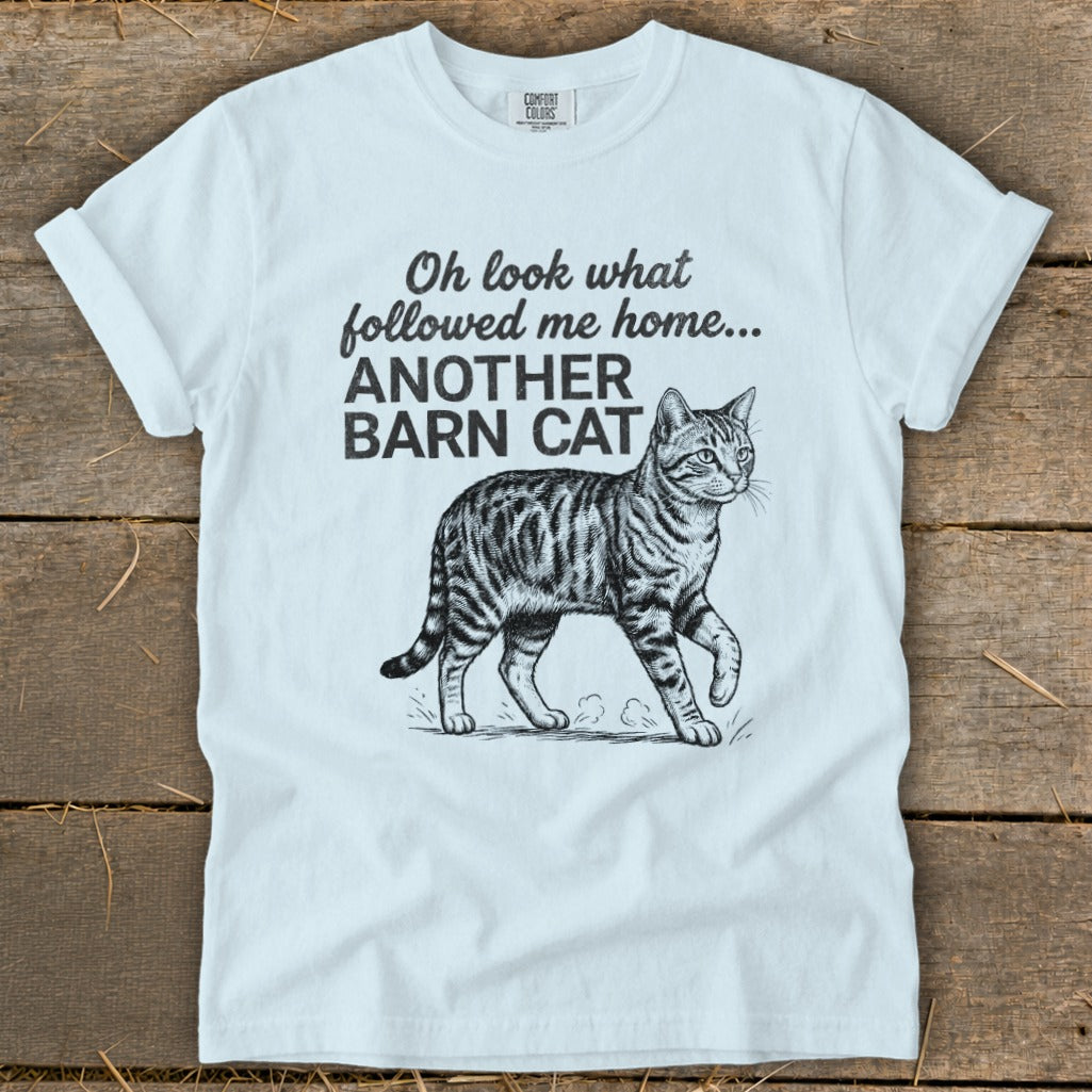 Light blue t-shirt with black graphic of a tabby cat and text "Oh look what followed me home... ANOTHER BARN CAT".