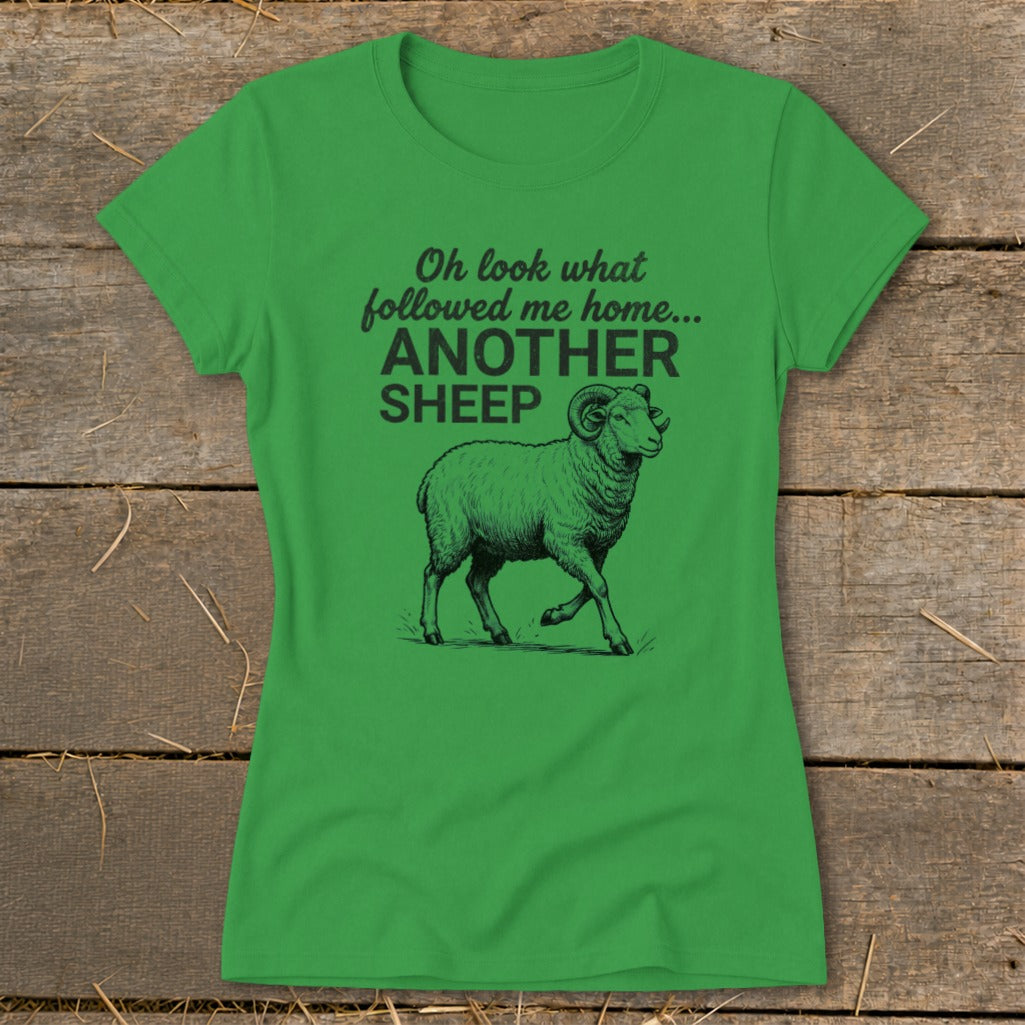 Green t-shirt with "Oh look what followed me home... ANOTHER SHEEP" and a sheep graphic.