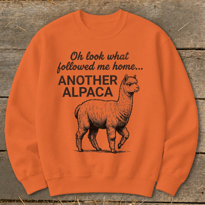 Orange sweatshirt with black graphic of an alpaca and text "Oh look what followed me home... ANOTHER ALPACA".
