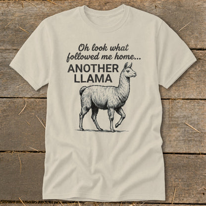 Cream t-shirt with a sketch of a llama and text "Oh look what followed me home... ANOTHER LLAMA".