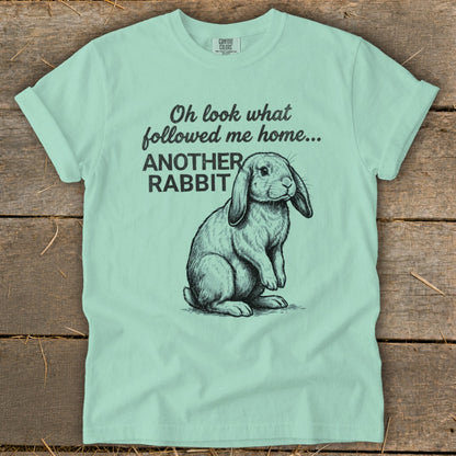 Mint t-shirt with a rabbit illustration and text "Oh look what followed me home... ANOTHER RABBIT".