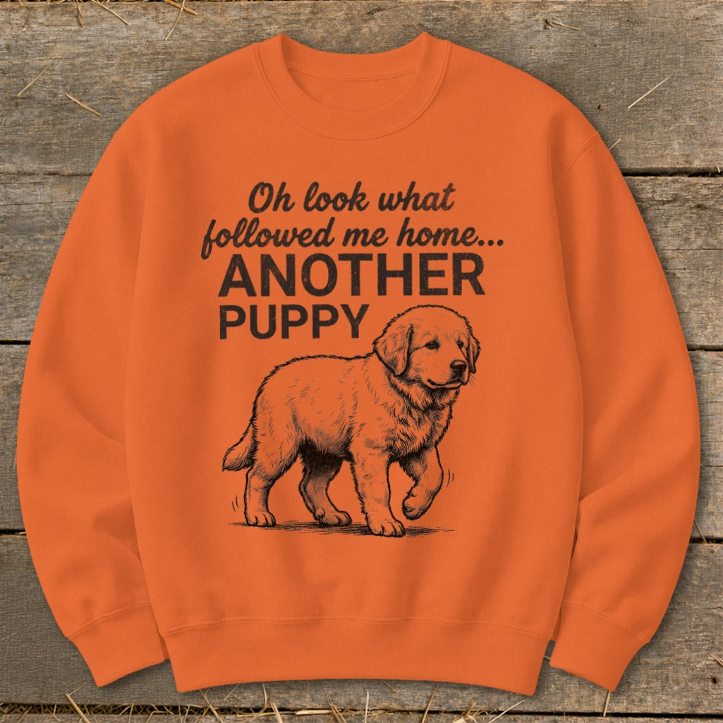 Orange sweatshirt with "Oh look what followed me home... ANOTHER PUPPY" text and a puppy illustration.