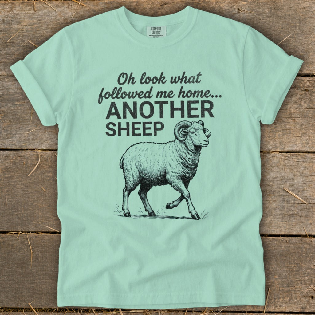 Light blue t-shirt with black graphic of a sheep and text "Oh look what followed me home... ANOTHER SHEEP".