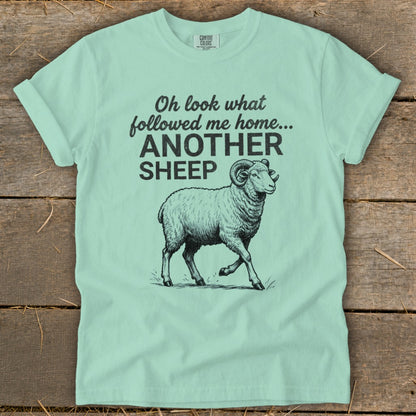 Light blue t-shirt with black graphic of a sheep and text "Oh look what followed me home... ANOTHER SHEEP".