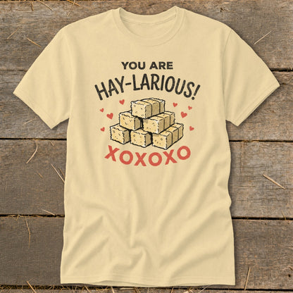 Yellow t-shirt with text "YOU ARE HAY-LARIOUS!" above a pile of hay bales and "XOXOXO".