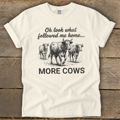 White t-shirt with drawing of three cows and text "Oh look what followed me home... MORE COWS".
