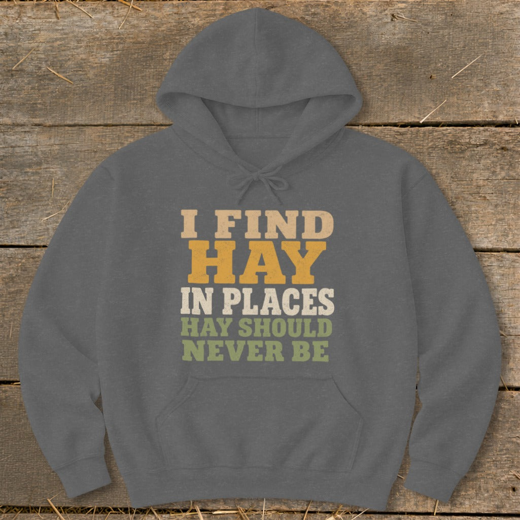 Gray hoodie with text "I FIND HAY IN PLACES HAY SHOULD NEVER BE".