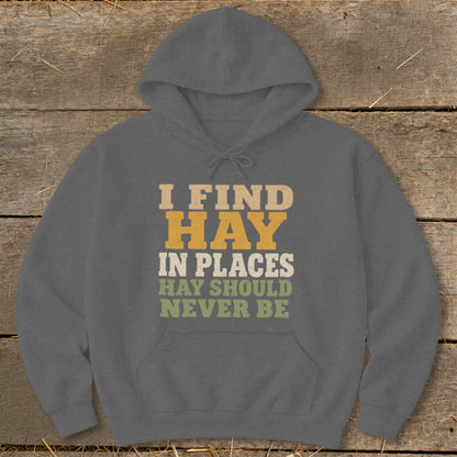 Gray hoodie with text "I FIND HAY IN PLACES HAY SHOULD NEVER BE".