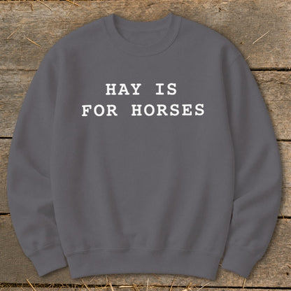 Grey sweatshirt with white text "HAY IS FOR HORSES".