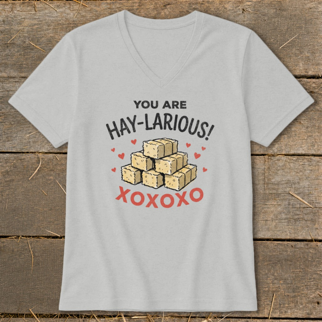 T-shirt with text "You are Hay-Larious!" and stack of hay bales.