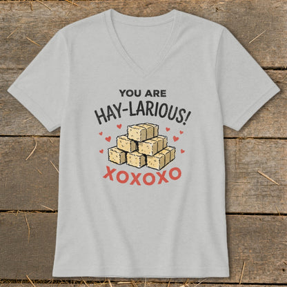 T-shirt with text "You are Hay-Larious!" and stack of hay bales.