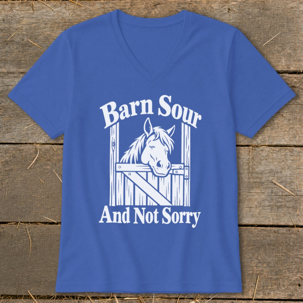Barn Sour V-neck
