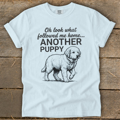 White t-shirt with black sketch of a puppy and text "Oh look what followed me home... ANOTHER PUPPY."