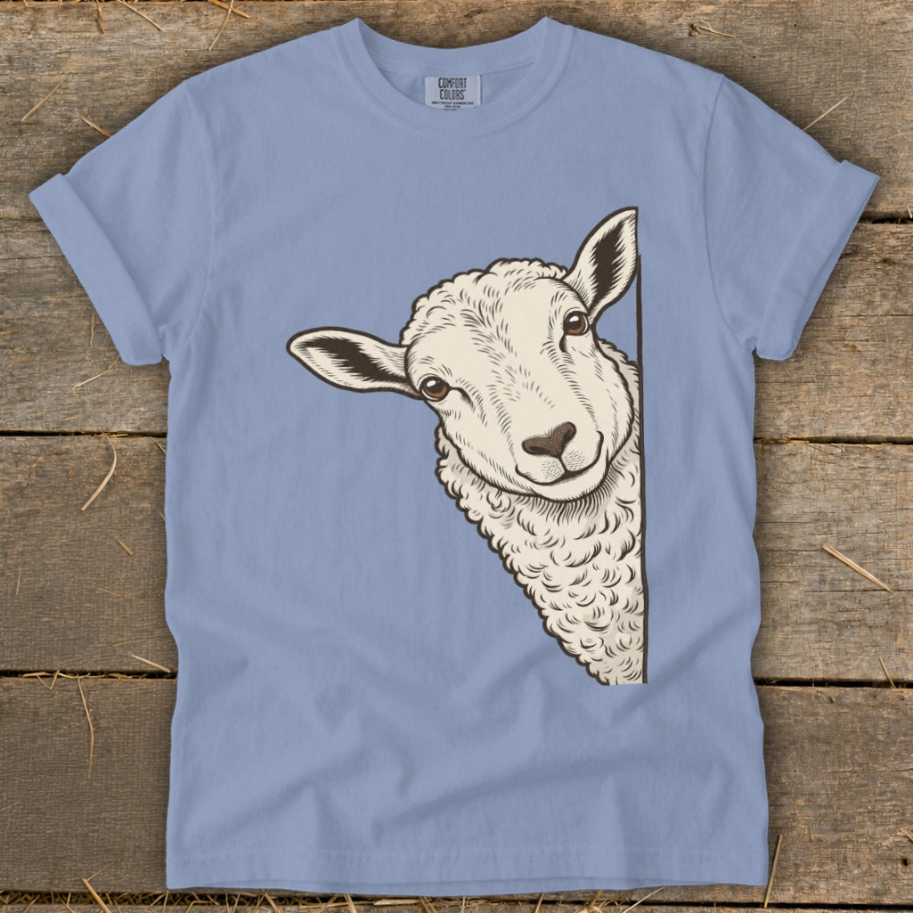 Illustration of a sheep peeking around a corner on a light blue t-shirt.