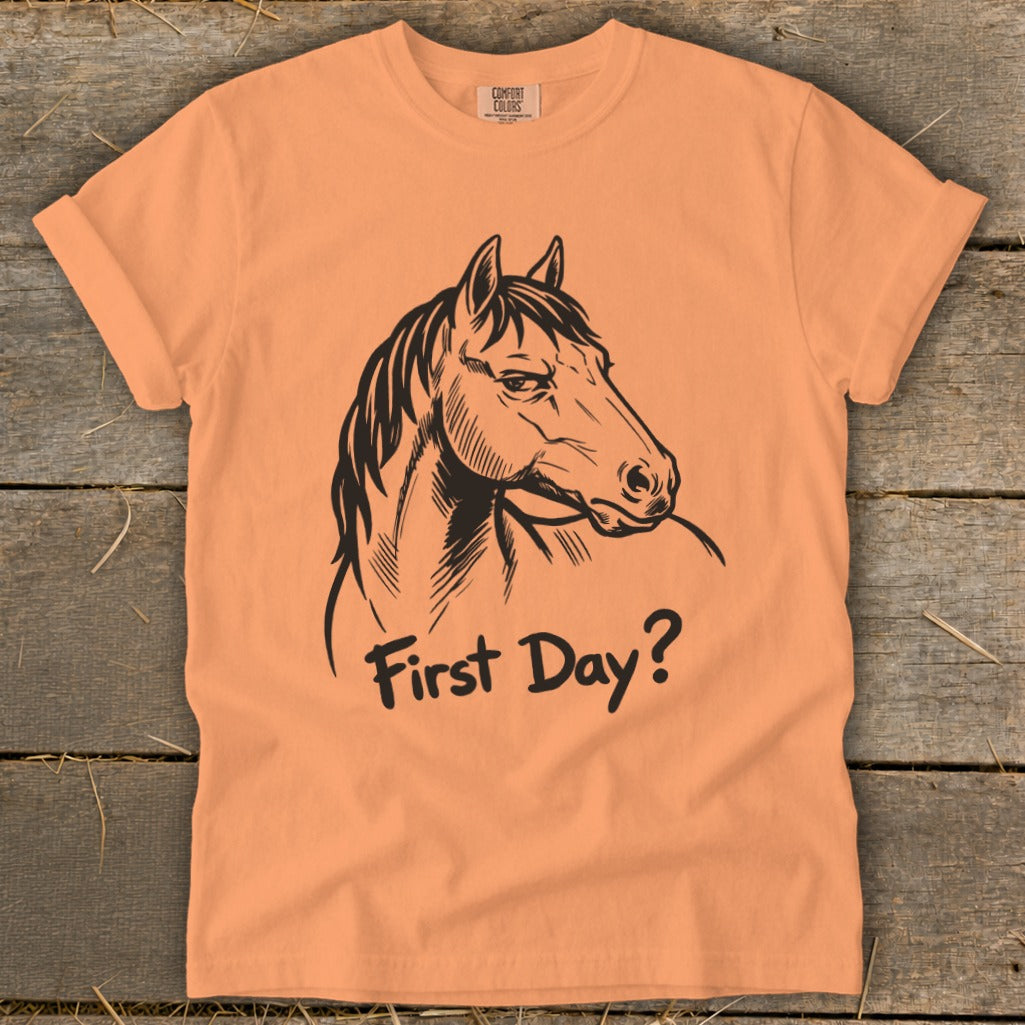 Peach t-shirt with black drawing of a horse head and text "First Day?".