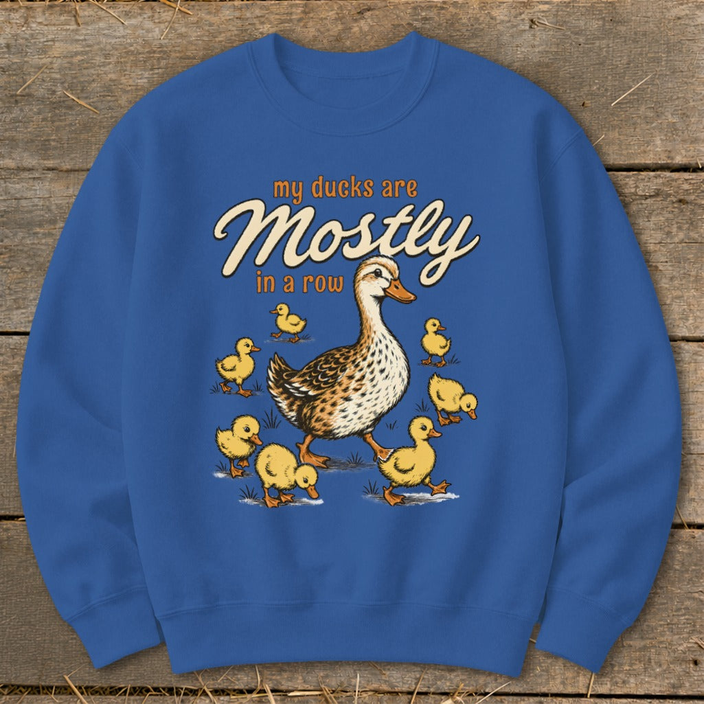 Blue sweatshirt with "my ducks are Mostly in a row" and duck family graphic.