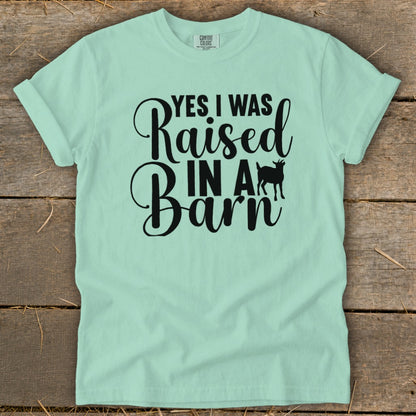 Light mint t-shirt with black text "YES I WAS Raised IN A Barn" and a goat silhouette.