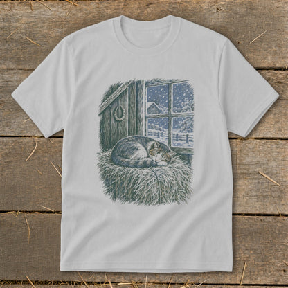 Cat sleeping on hay in barn window with snow falling outside.