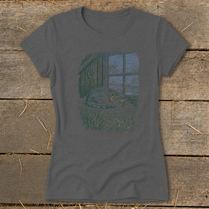 Cat sleeping on hay by a snowy window in a barn.