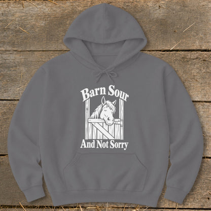 Barn Sour Hoodie