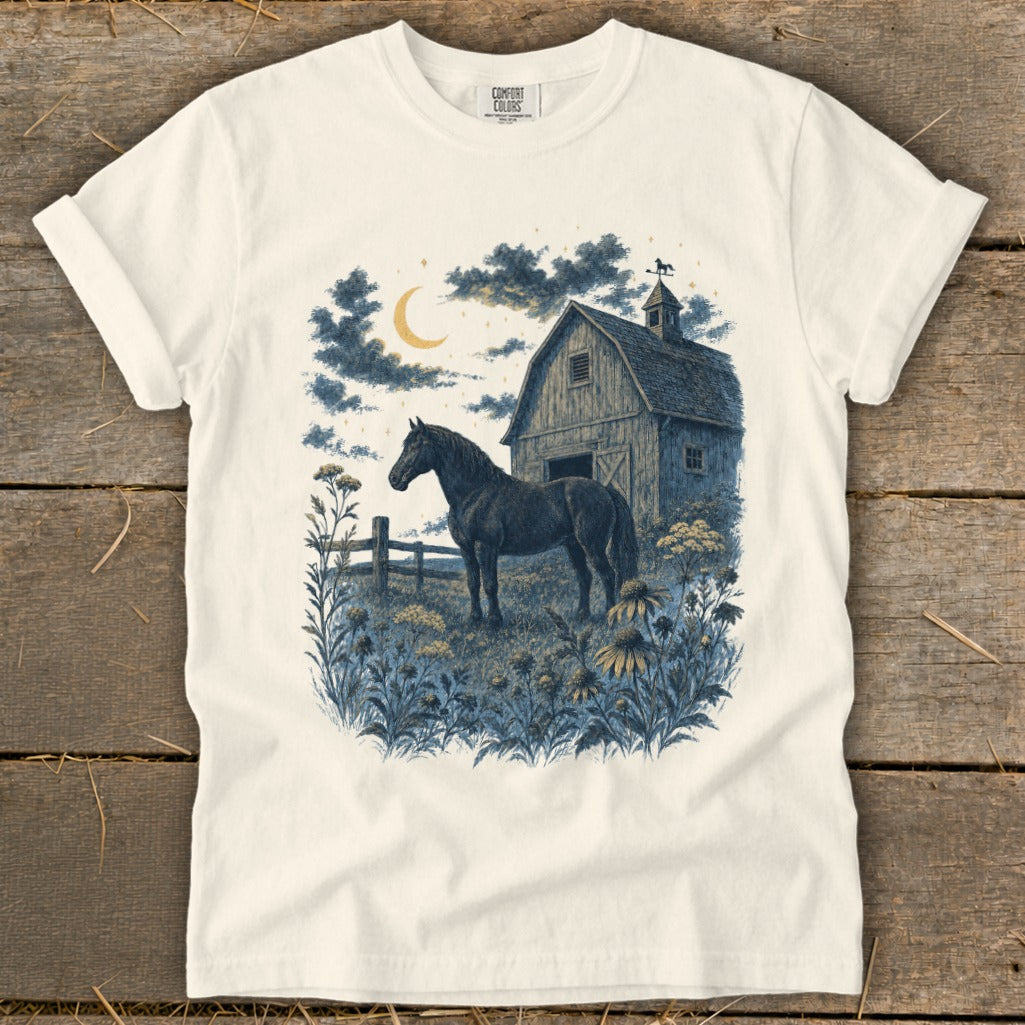 Black horse in field with barn under crescent moon and clouds.