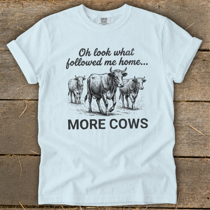 T-shirt with illustration of three cows and text "Oh look what followed me home... MORE COWS".