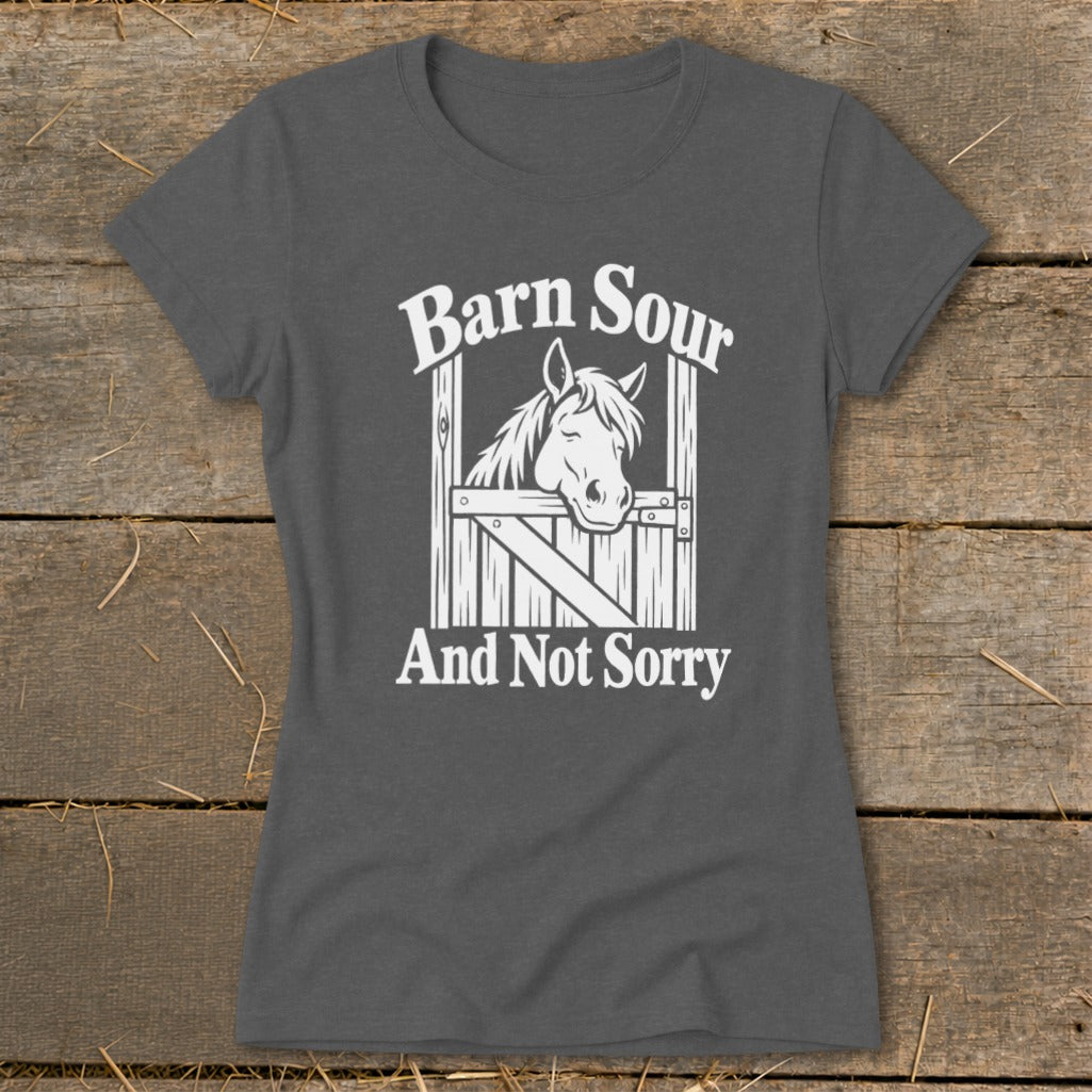 Barn Sour Ladies Tee