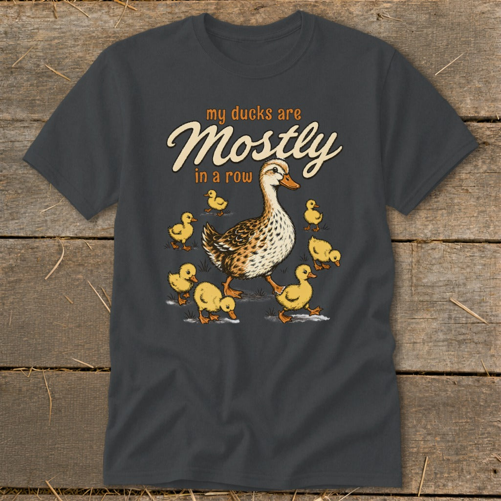 Gray t-shirt with cartoon mother duck and ducklings. Text reads "my ducks are Mostly in a row".