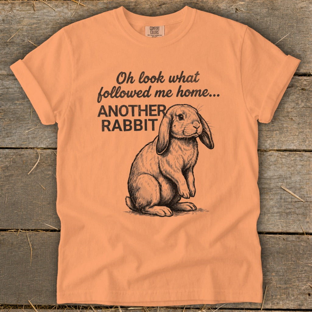 Peach t-shirt with a sketch of a rabbit and text "Oh look what followed me home... ANOTHER RABBIT".