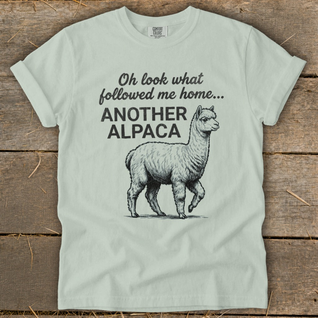 Light green t-shirt with "Oh look what followed me home... ANOTHER ALPACA" and an alpaca graphic.