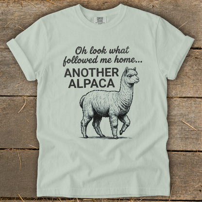 Light green t-shirt with "Oh look what followed me home... ANOTHER ALPACA" and an alpaca graphic.