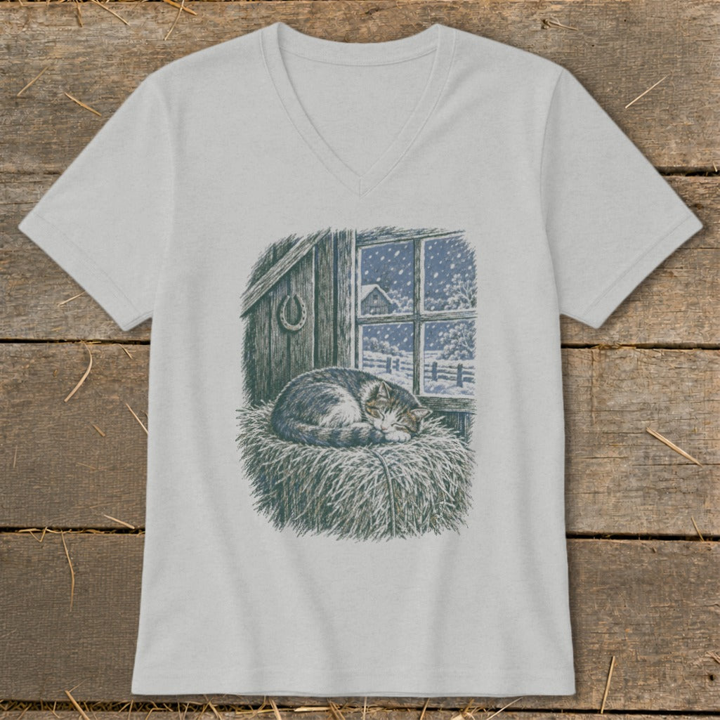 Gray tabby cat sleeping on hay bale in front of snowy window and barn detail.