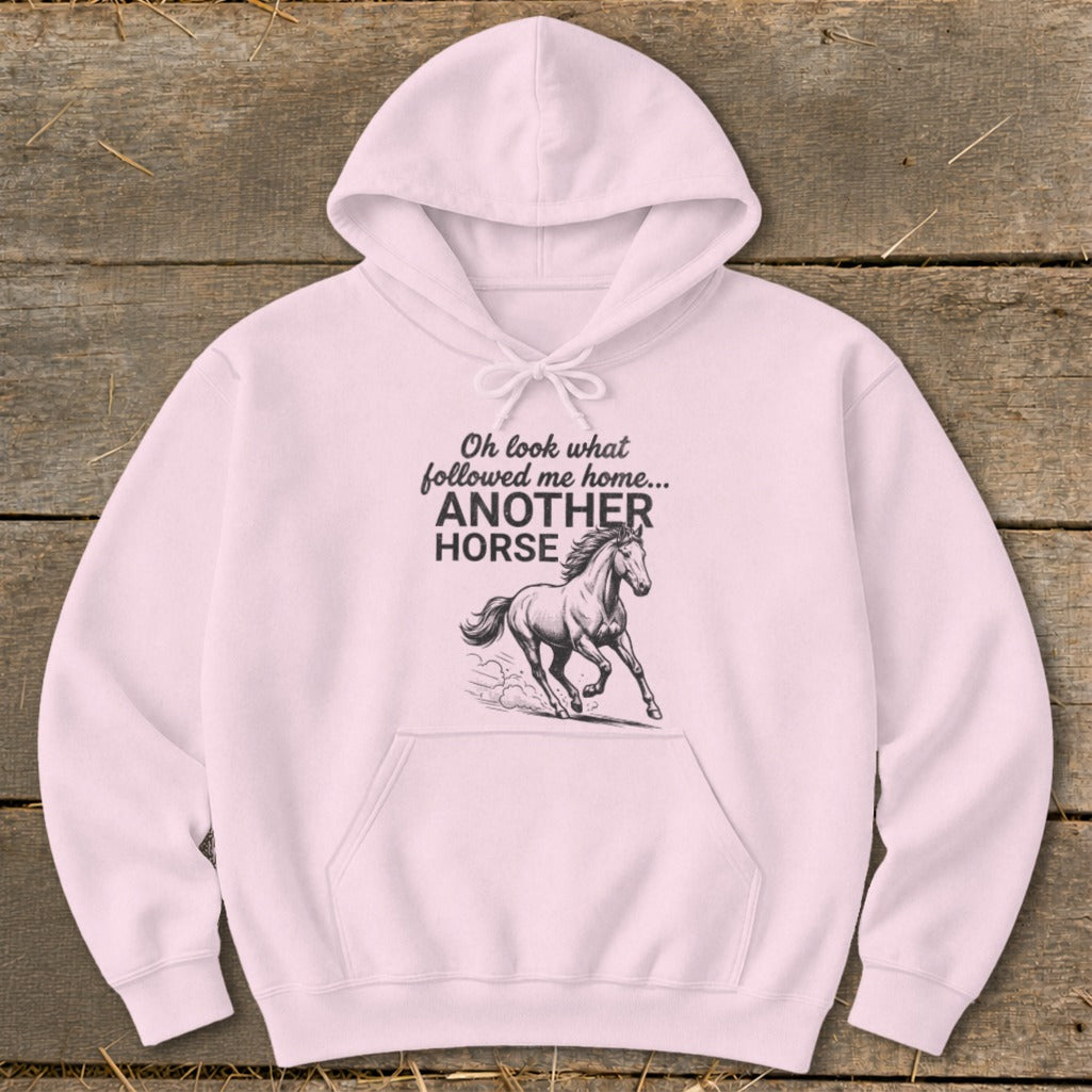 Light pink hoodie with "Oh look what followed me home... ANOTHER HORSE" and a horse illustration.