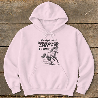 Light pink hoodie with "Oh look what followed me home... ANOTHER HORSE" and a horse illustration.