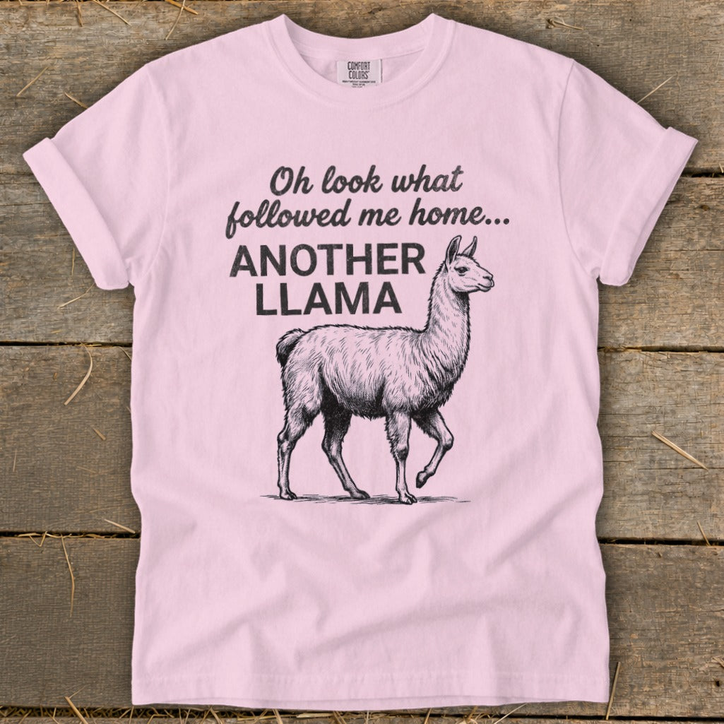 Pink t-shirt with graphic text "Oh look what followed me home... ANOTHER LLAMA" and llama illustration.