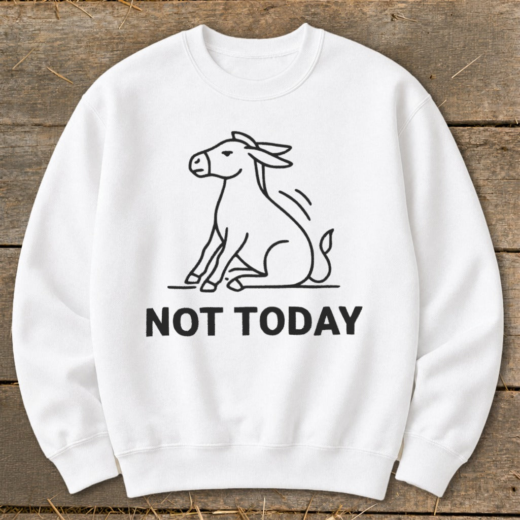 White sweatshirt with black line drawing of a donkey and "NOT TODAY" text.