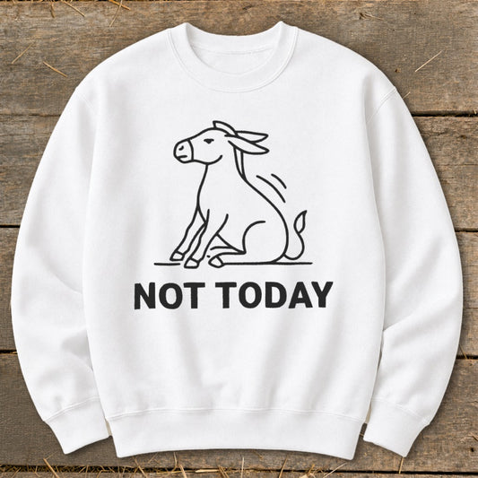 White sweatshirt with black line drawing of a donkey and "NOT TODAY" text.