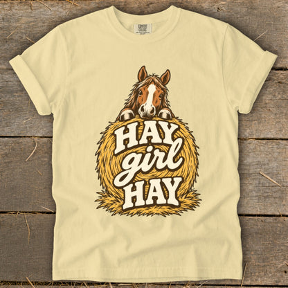 Horse peeking over hay bale with text "HAY girl HAY".