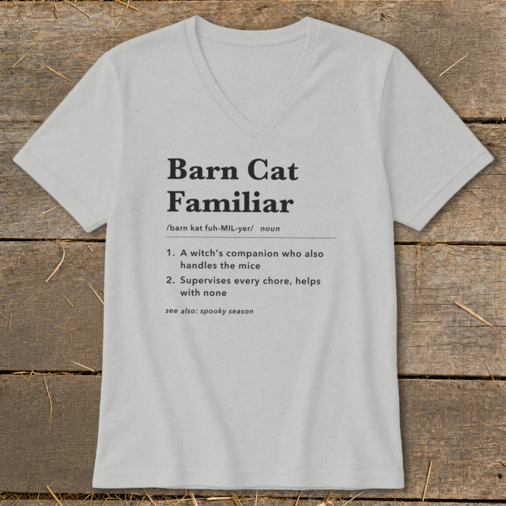 Gray t-shirt with "Barn Cat Familiar" definition printed in black text.