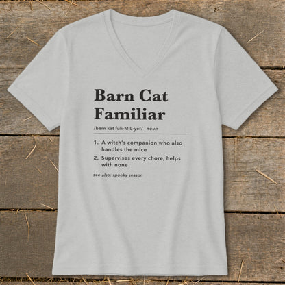Gray t-shirt with "Barn Cat Familiar" definition printed in black text.