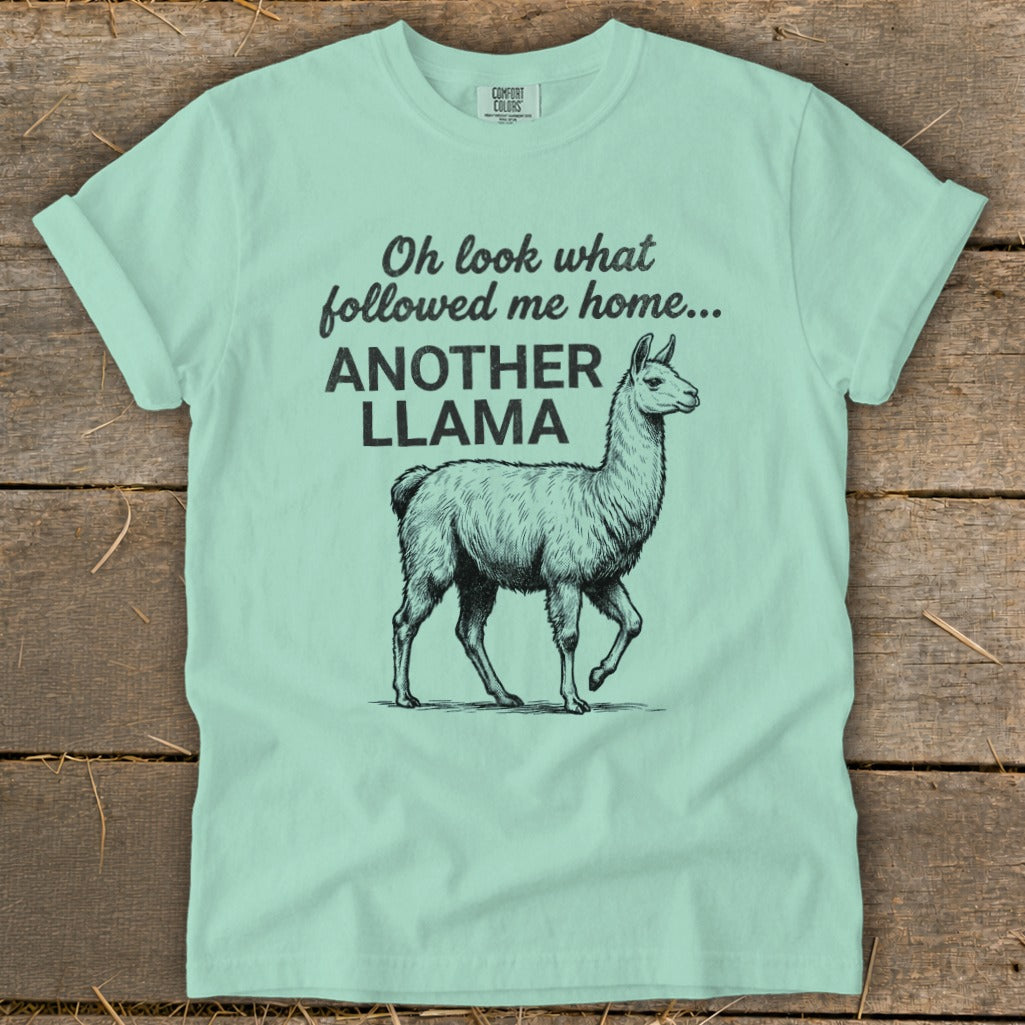 Mint green t-shirt with black text and llama graphic: "Oh look what followed me home... ANOTHER LLAMA"