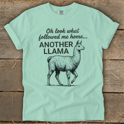 Mint green t-shirt with black text and llama graphic: "Oh look what followed me home... ANOTHER LLAMA"