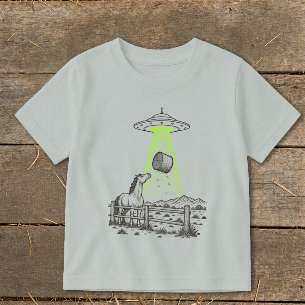 Horse watching a UFO abduct a hay bale in a rural landscape.